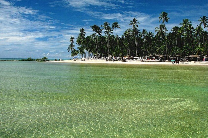 Praia dos Carneiros Tour with Catamaran (Bora Bora) 2