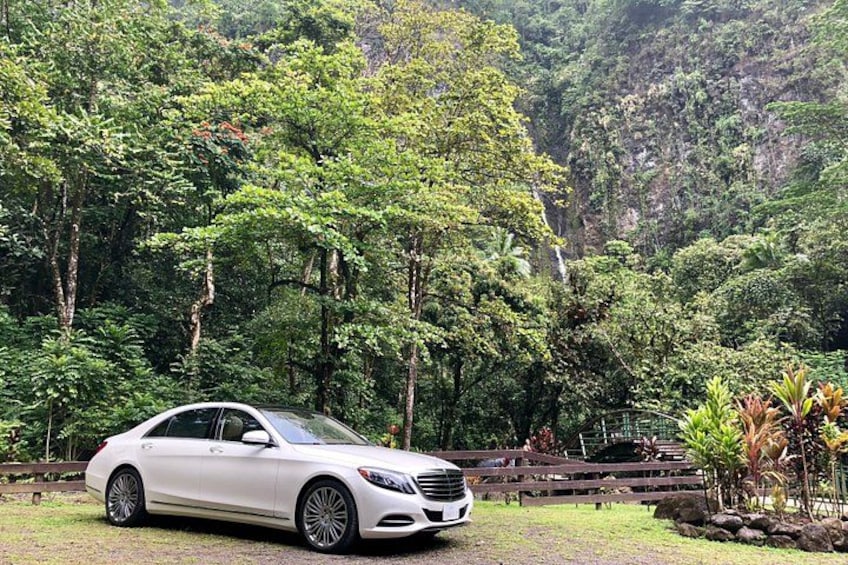 A white car parked in a lush green forest with a wooden bridge in the background. 4
