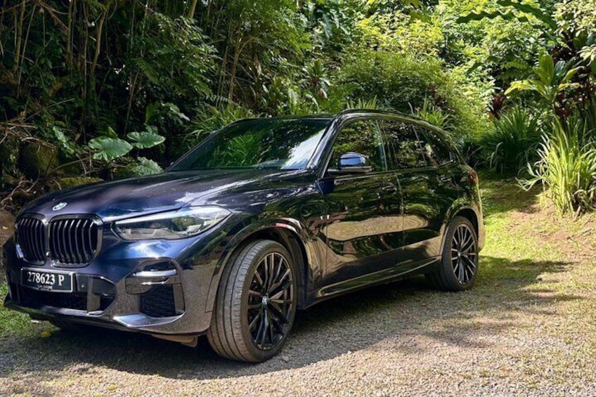 A black BMW SUV parked on a gravel path surrounded by lush greenery. 2