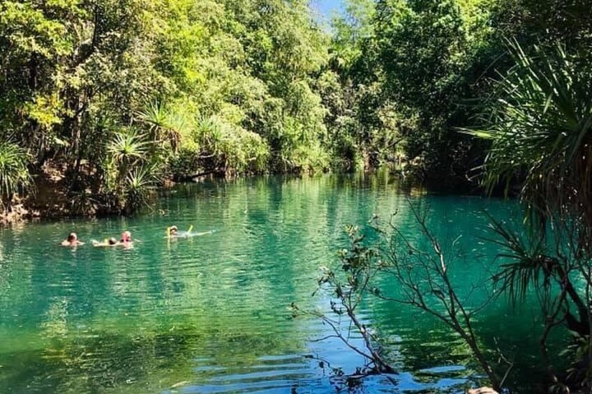 Een heldere turquoise rivier omringd door weelderige groene begroeiing. 1