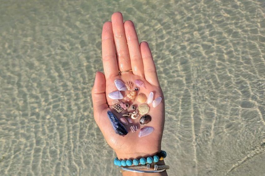 Three Hour Shelling Cruise to Shell Key Preserve from John's Pass 1