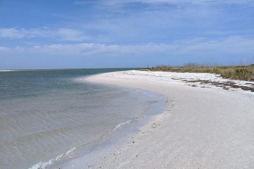 Three Hour Shelling Cruise to Shell Key Preserve from John's Pass 2