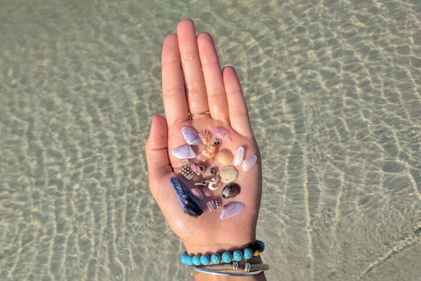 A hand holding various seashells and stones against a sandy beach background. 1