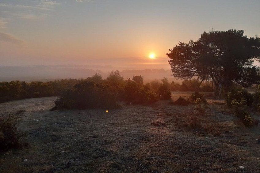 A sunset over a dry, grassy landscape with sparse vegetation and a prominent tree. 1