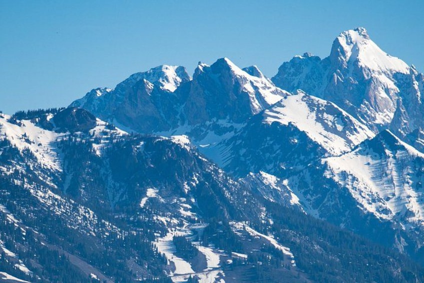 Snow-covered mountain peaks, a clear blue sky, and a forested valley. 4