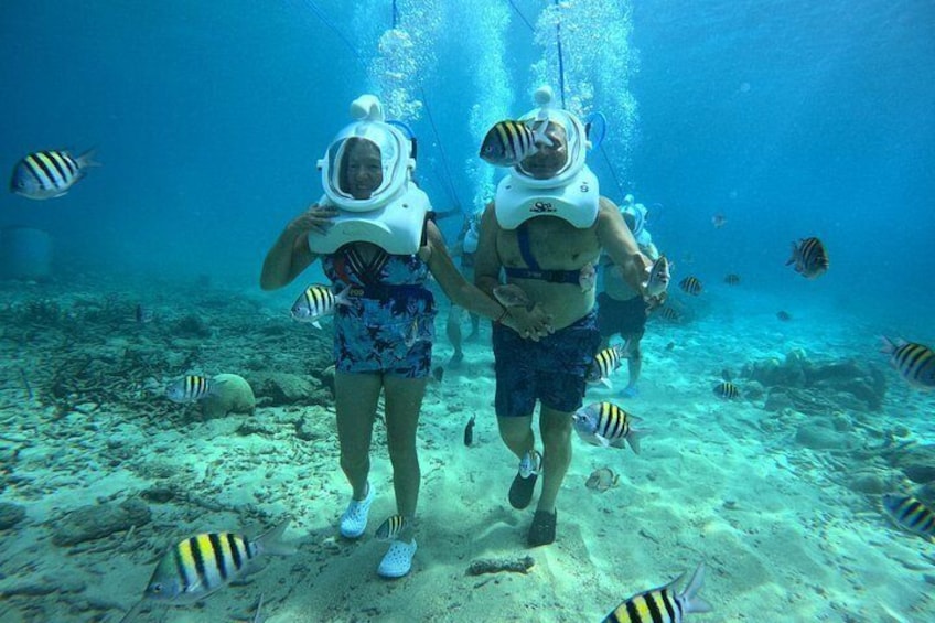 Two people scuba diving underwater with fish around them. 4