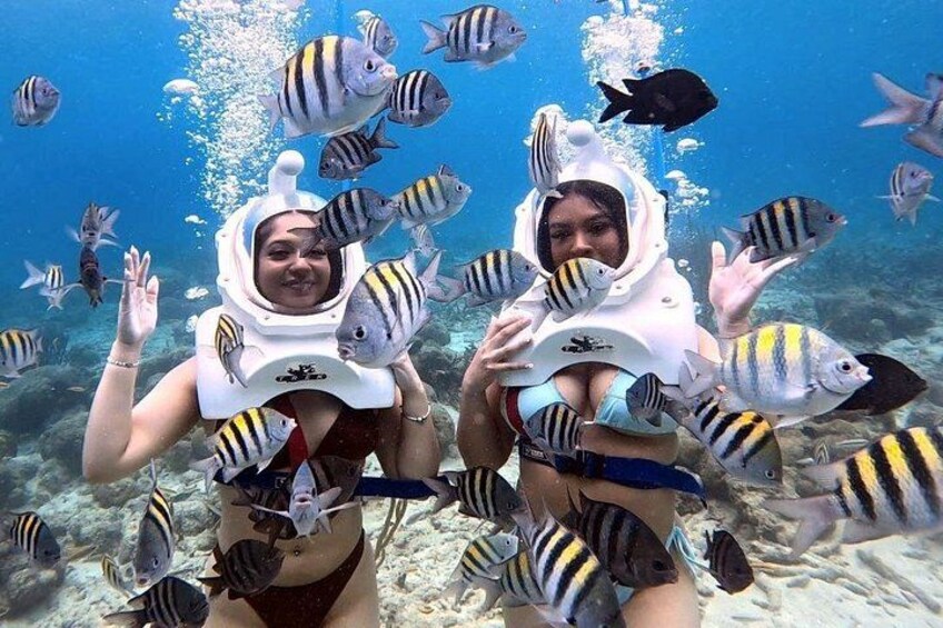 Sea TREK Curaçao: Underwater Helmet Walk, No Swimming Required 5