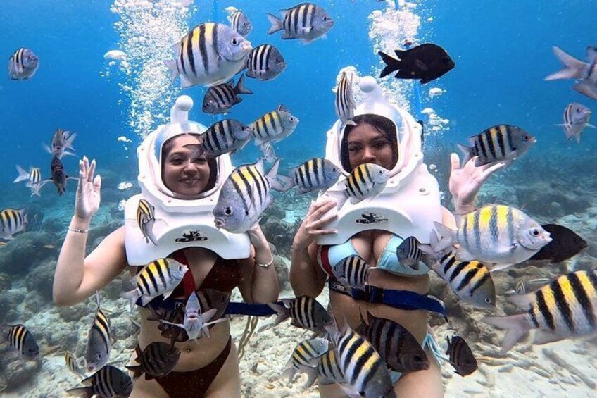 Sea TREK Curaçao: Underwater Helmet Walk, No Swimming Required 5