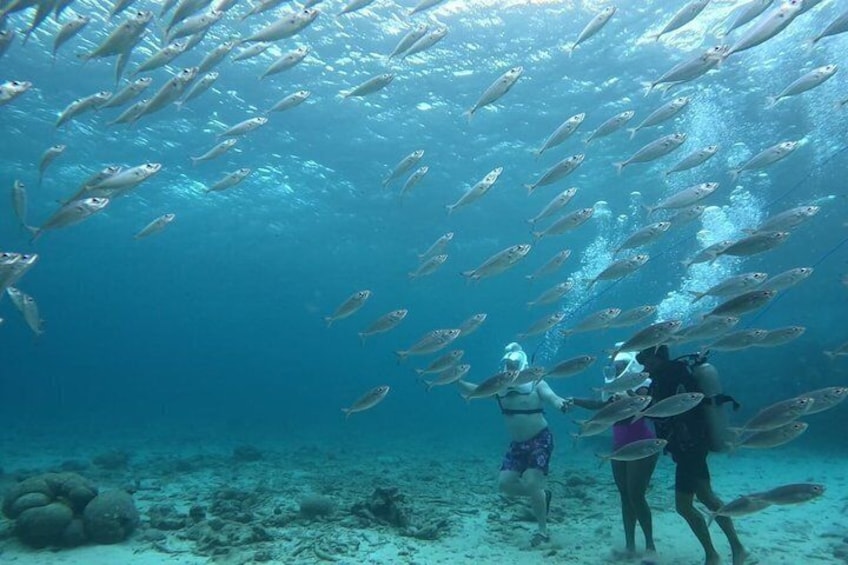 Sea TREK Curaçao: Underwater Helmet Walk, No Swimming Required 2