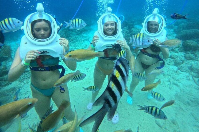 Sea TREK Curaçao: Underwater Helmet Walk, No Swimming Required 2
