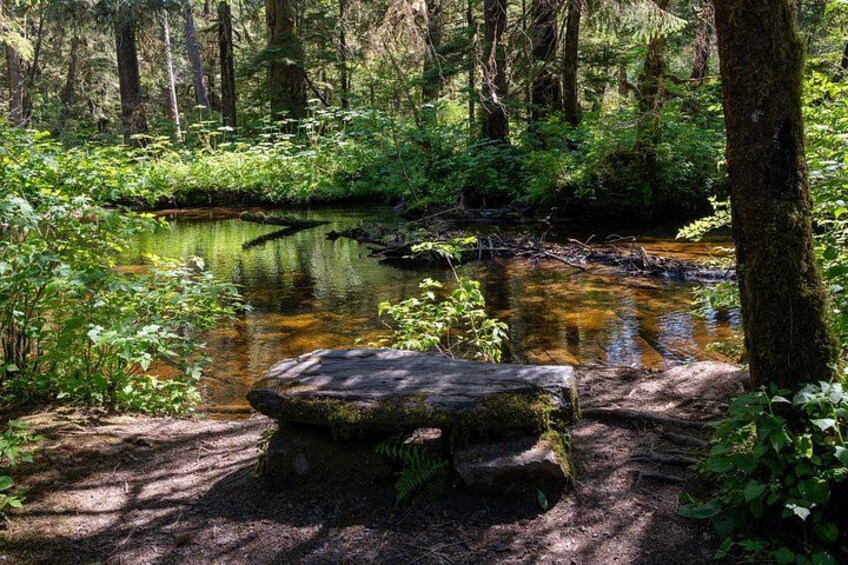 Stone bench by the river 2