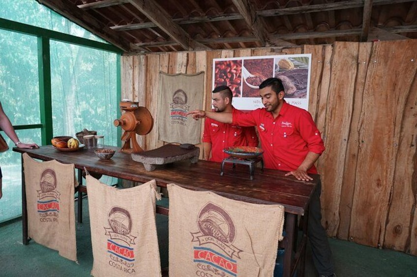 Coffee, Chocolate & Sugar Cane Tour (Regular) 1