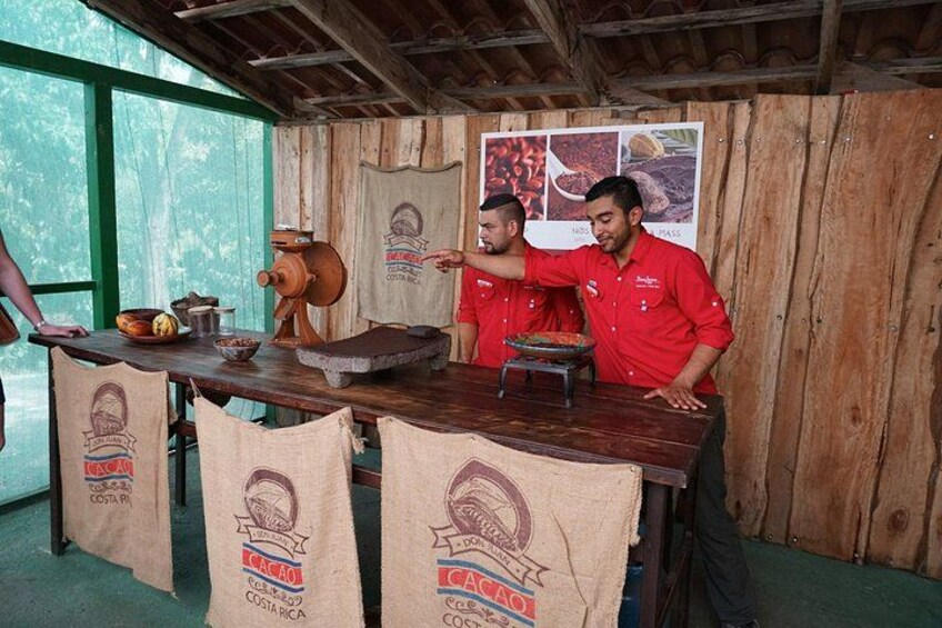 Coffee, Chocolate & Sugar Cane Tour (Regular) 1