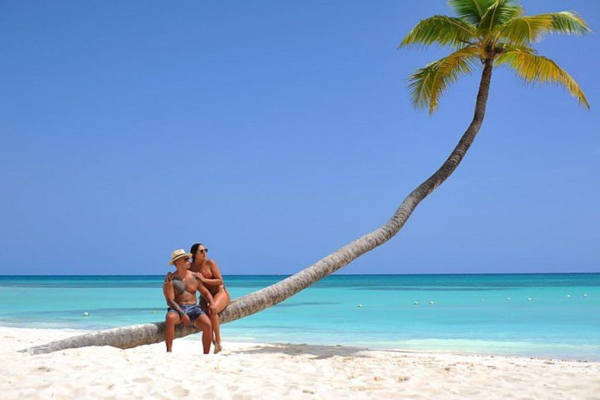 Beautiful Cocotal in Isla Saona 1