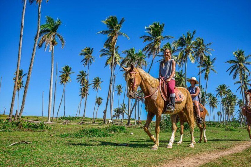 Una persona montando a caballo por un sendero, con palmeras al fondo. 1