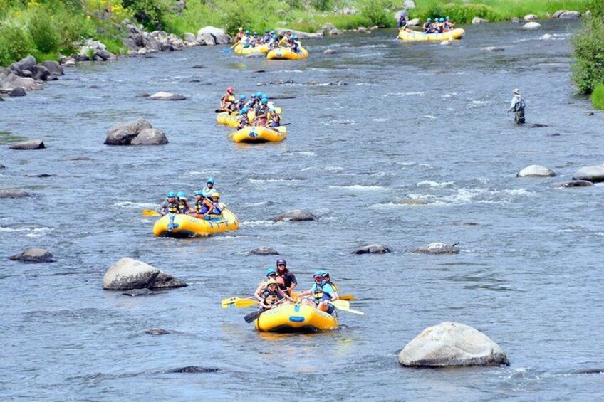 One of many scenic opportunities on the Truckee River. 3