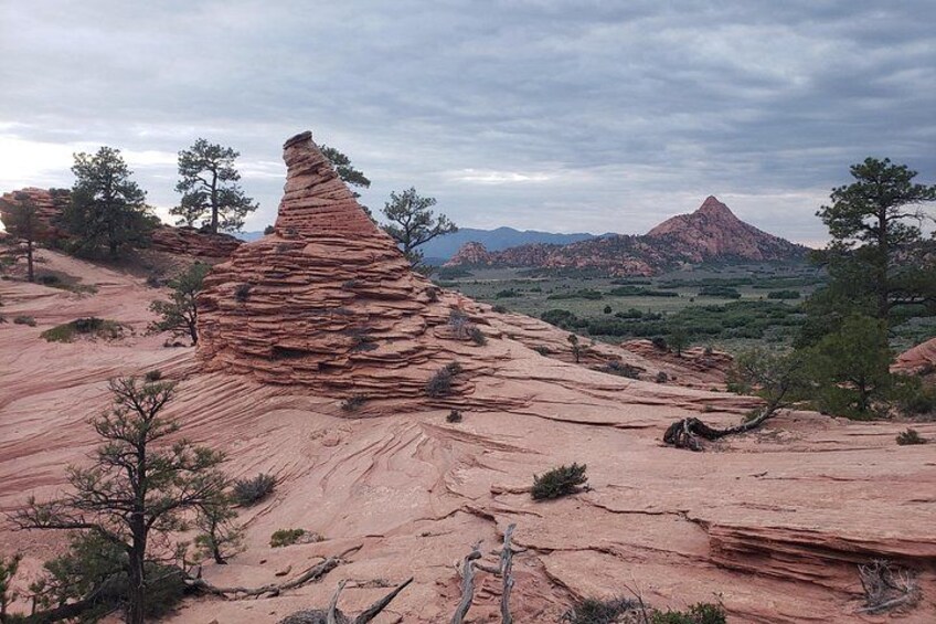 Zion National Park/Kolob Terrace Private 1/2 Day Sightseeing Tour 1