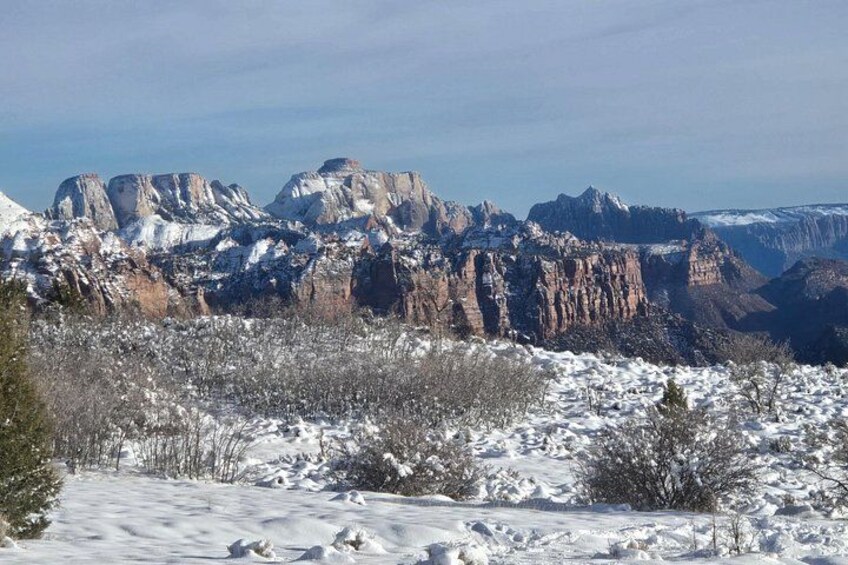 Zion National Park/Kolob Terrace Private 1/2 Day Sightseeing Tour 5