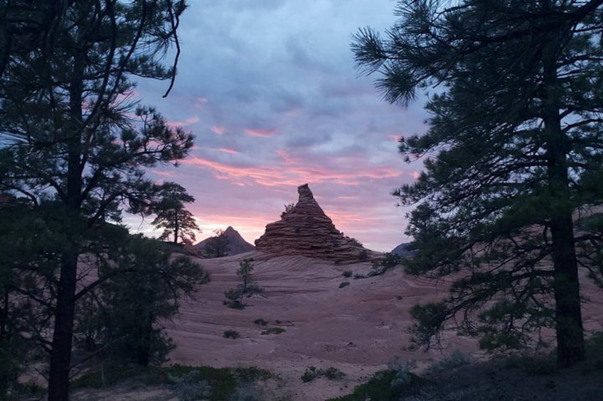 Zion National Park/Kolob Terrace Private 1/2 Day Sightseeing Tour 4