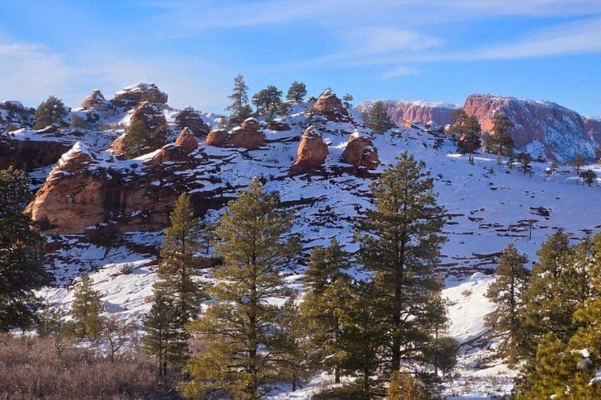 Zion National Park/Kolob Terrace Private 1/2 Day Sightseeing Tour 4