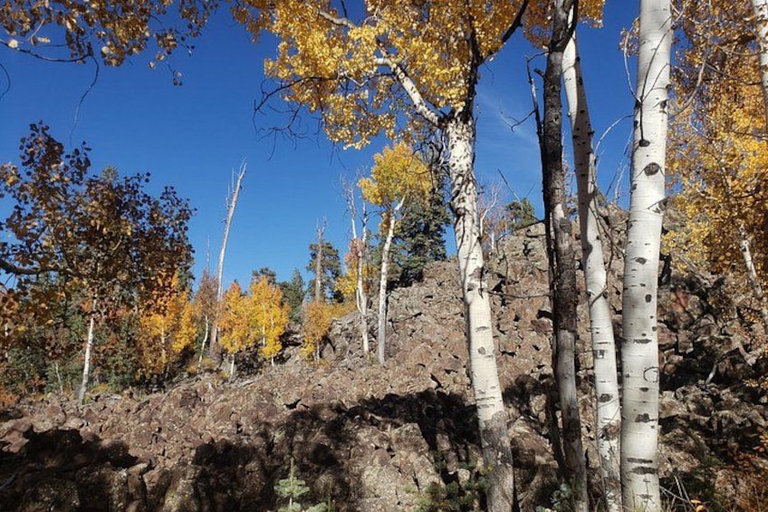 Zion National Park/Kolob Terrace Private 1/2 Day Sightseeing Tour 2