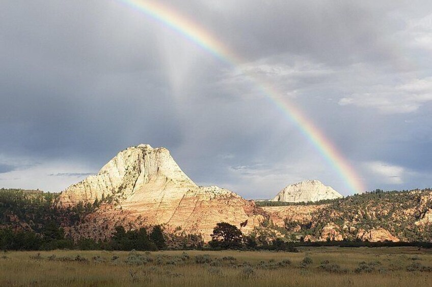 Zion National Park/Kolob Terrace Private 1/2 Day Sightseeing Tour 4