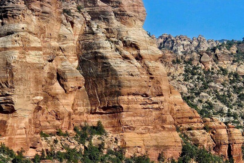 Zion National Park/Kolob Terrace Private 1/2 Day Sightseeing Tour 2