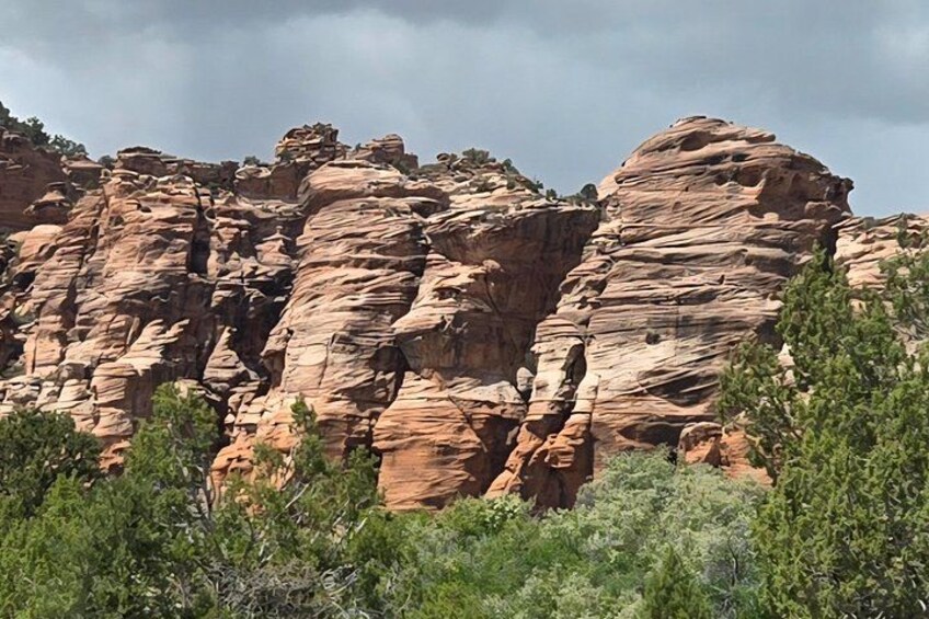 Zion National Park/Kolob Terrace Private 1/2 Day Sightseeing Tour 3