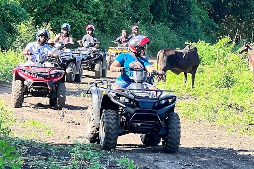 ATV Half-Day Tour in Cartagena 2