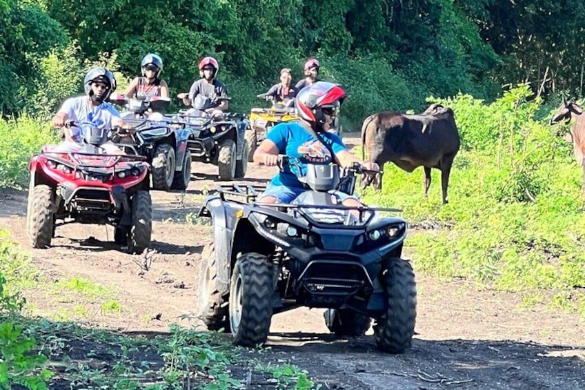 ATV Half-Day Tour in Cartagena 2