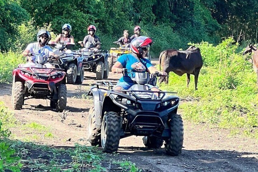 ATV Half-Day Tour in Cartagena 3