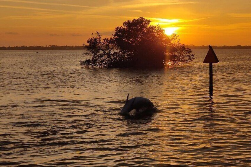 A sunset over water with a floating object and a warning sign. 1