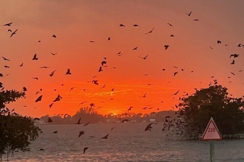 A sunset over a body of water with birds flying and a speed limit sign. 2
