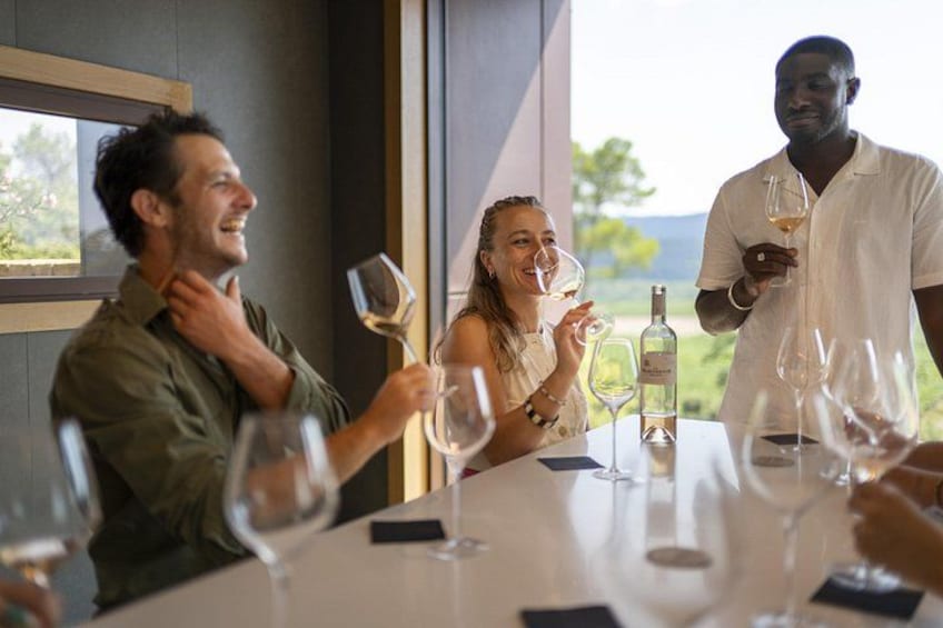 Provence Wine Tour - Small Group Tour from Nice 2
