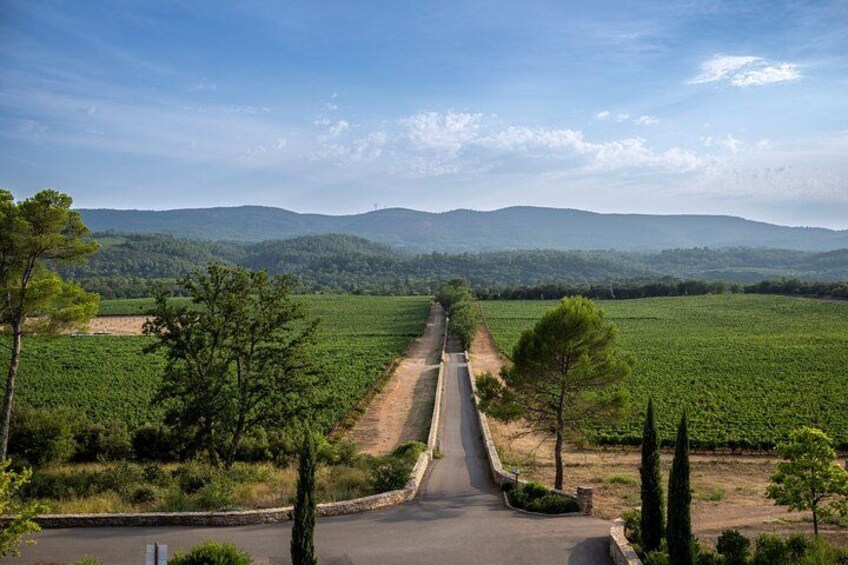 Provence Wine Tour - Small Group Tour from Nice 1