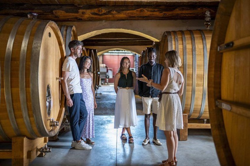Provence Wine Tour - Small Group Tour from Nice 2