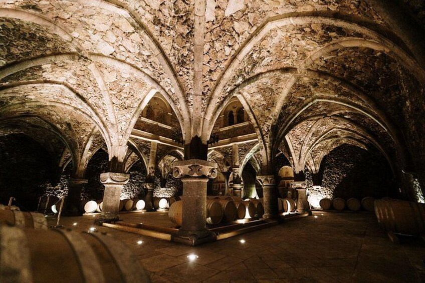 Provence Wine Tour - Small Group Tour from Nice 2