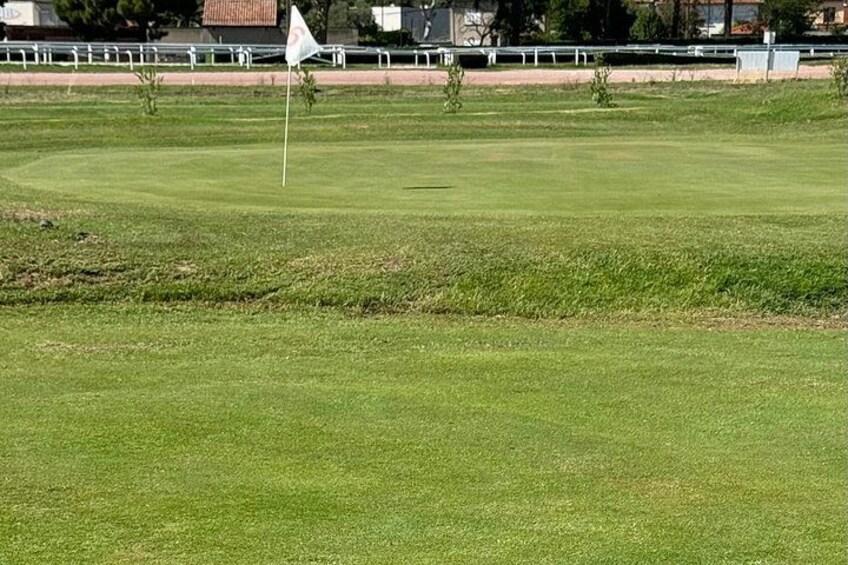 A golf course with a flagstick in the foreground and a fence in the background. 2