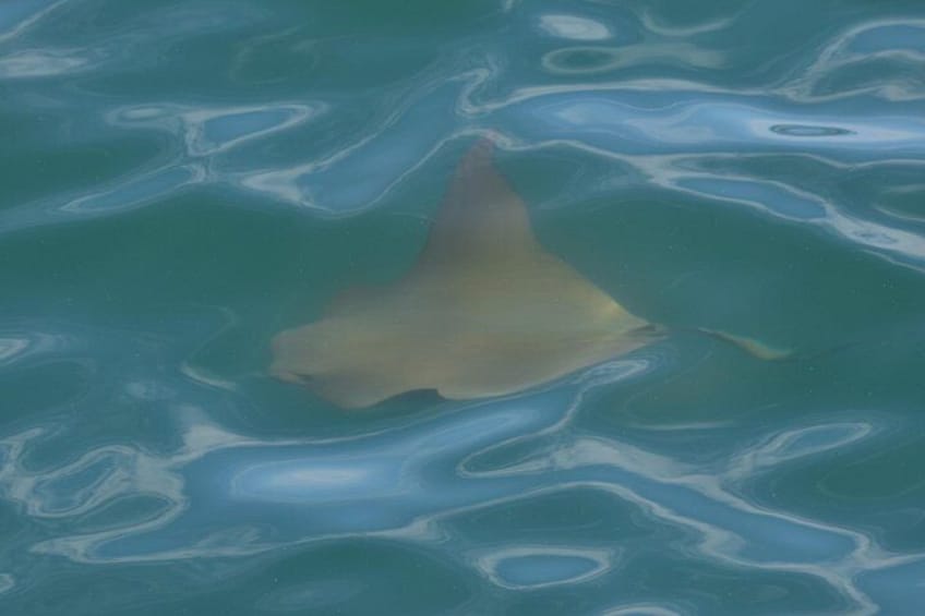 Half Day Fishing Experience in Cape May 4