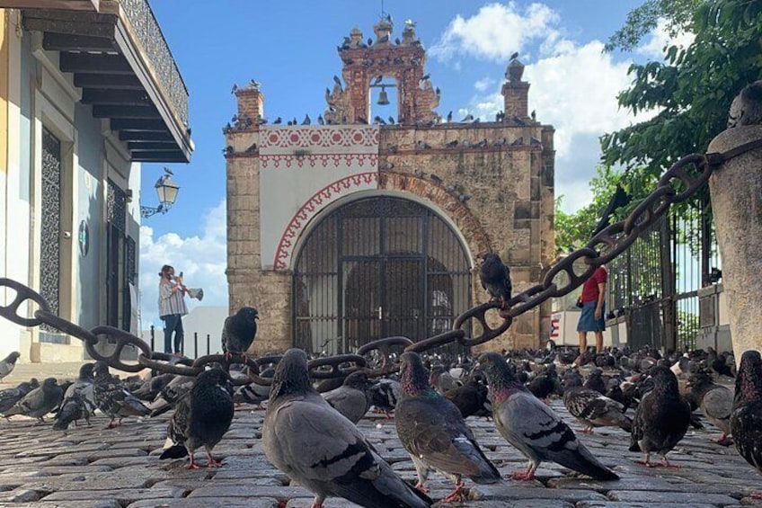A historic building with a large arched entrance, pigeons on the cobblestone pavement, and a person taking a photo. 2