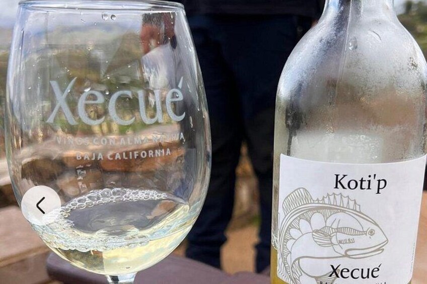 ATV Off-Road Adventure through Valle de Guadalupe + Winery Visit 5