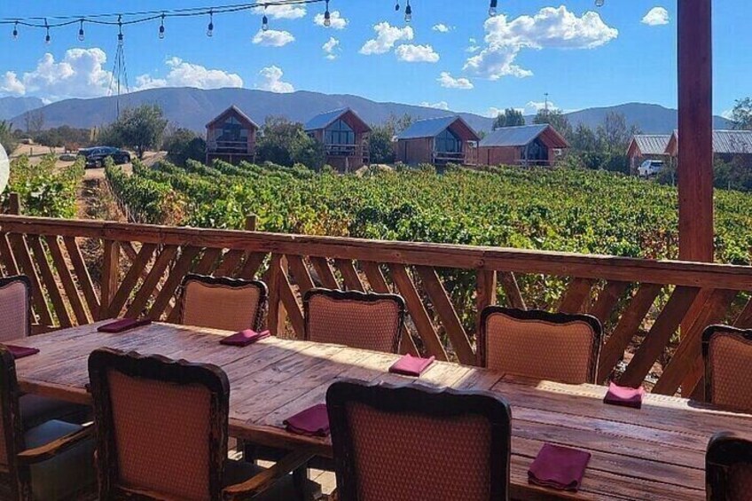 ATV Off-Road Adventure through Valle de Guadalupe + Winery Visit 2