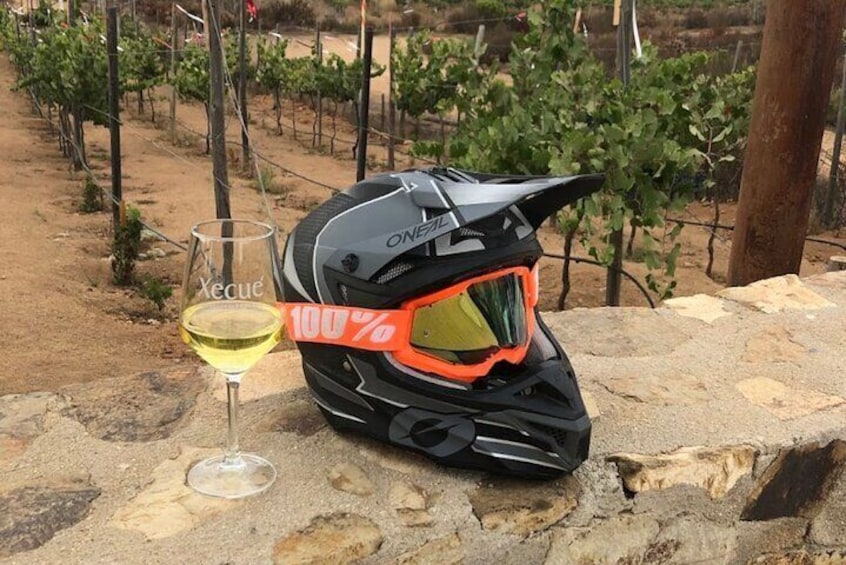 ATV Off-Road Adventure through Valle de Guadalupe + Winery Visit