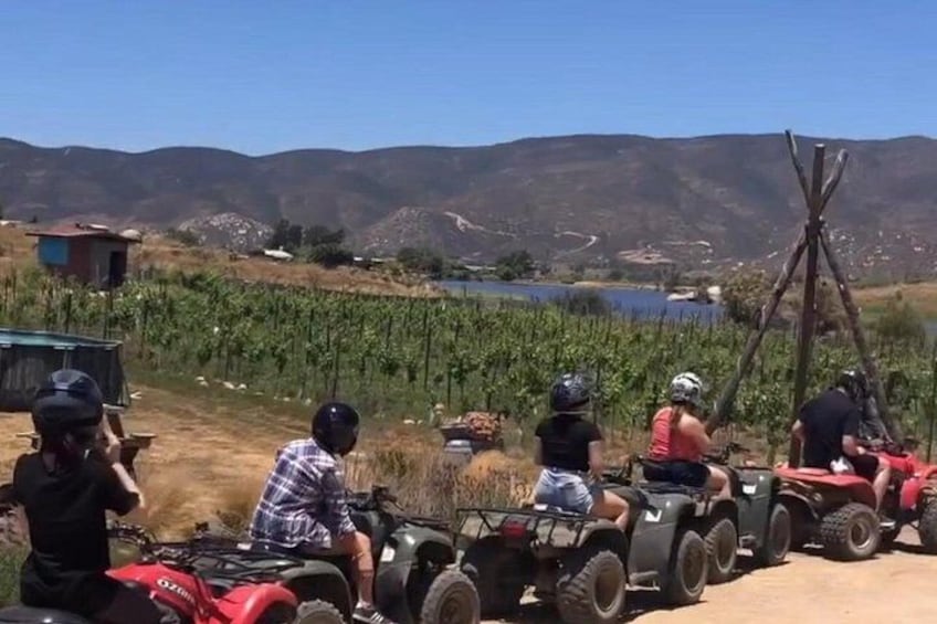 ATV Off-Road Adventure through Valle de Guadalupe + Winery Visit 3