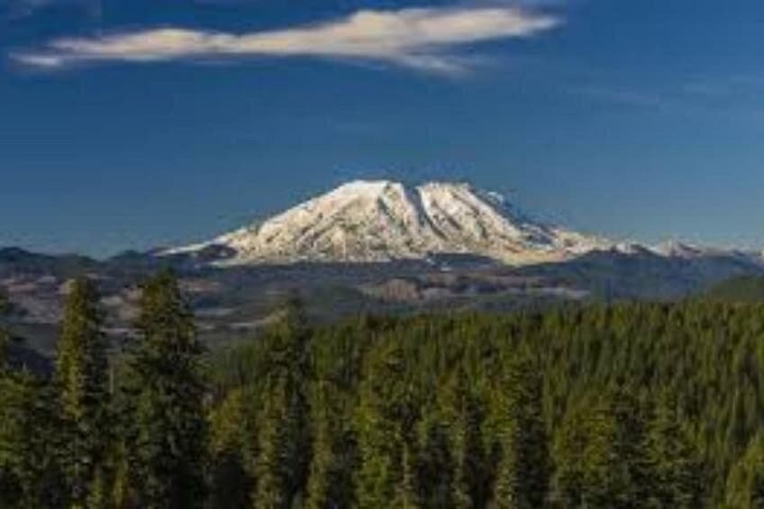 A snow-capped mountain, dense forest, and clear sky. 2