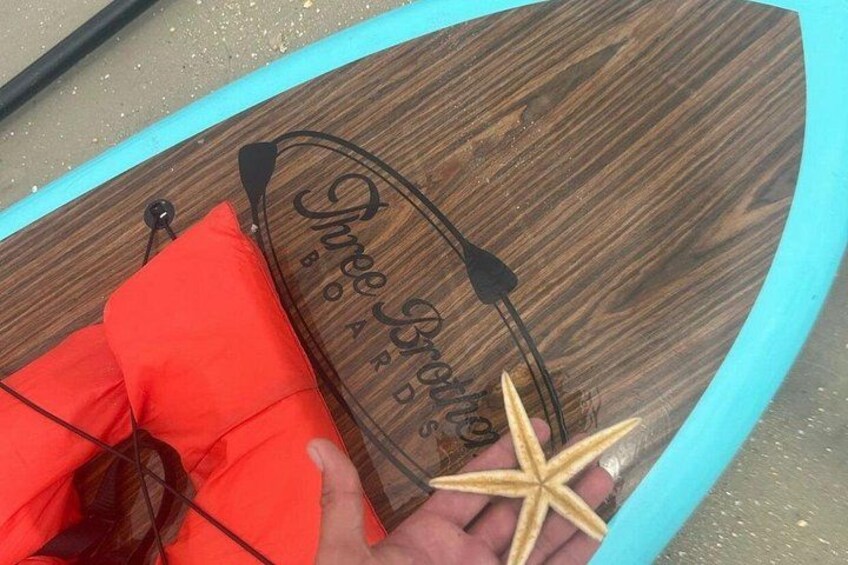 We found a beautiful Royal Starfish paddle boarding in St. Augustine 2
