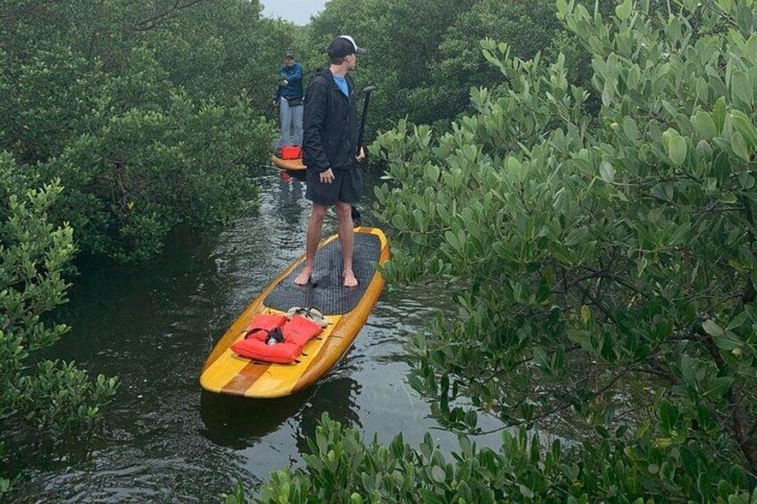 Easily navigating through the mangrove canals! 2