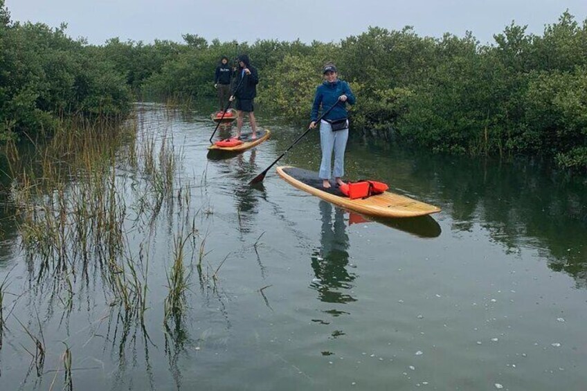 Three people paddleboarding on a calm river surrounded by dense mangrove vegetation. 4