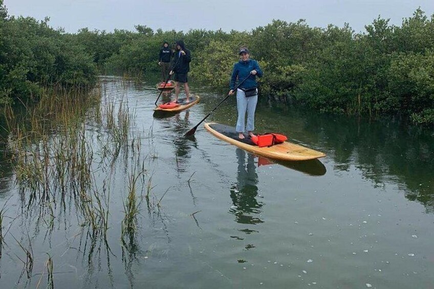 Florida has some of the best mangrove canals1 4