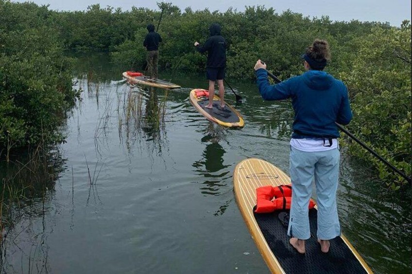 We saw tons of sea turtles in this canal! 3